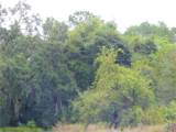 3131 Us Highway 441/27 - Photo 18