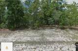 1581 Thumper Drive - Photo 2
