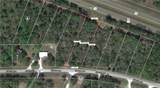  316TH Avenue - Photo 5