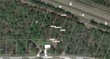  316TH Avenue - Photo 7