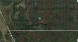  Old Grade Road - Photo 1