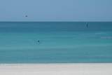 2425 Gulf Of Mexico Drive - Photo 34