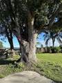 10515 Beckum Rd - Photo 16