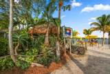 2441 Novus Street - Photo 15