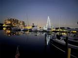 2600 Harbourside Drive - Photo 20