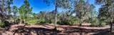 10709 Leafwing Drive - Photo 24