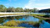 4836 Turtle Bay Terrace - Photo 8