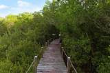 73 Tidy Island Boulevard - Photo 41