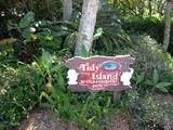 73 Tidy Island Boulevard - Photo 43