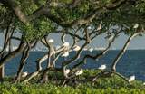 73 Tidy Island Boulevard - Photo 44