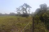 41025 Clay Gully Road - Photo 10