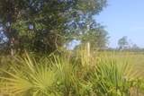 41025 Clay Gully Road - Photo 11