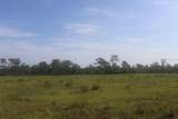 41025 Clay Gully Road - Photo 12