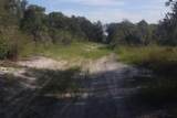 41025 Clay Gully Road - Photo 15