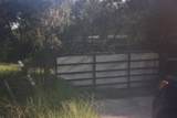 41025 Clay Gully Road - Photo 17