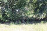 41025 Clay Gully Road - Photo 3