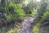 41025 Clay Gully Road - Photo 7