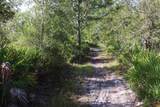 41025 Clay Gully Road - Photo 8