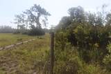 41025 Clay Gully Road - Photo 9