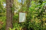 5120 Tari Stream Way - Photo 30