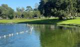 333 The Esplanade - Photo 11