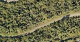 1127226126 Largeleaf Street - Photo 1