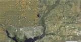 1127226126 Largeleaf Street - Photo 5