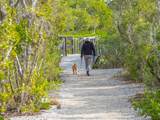 1650 Starling Drive - Photo 40
