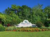 7816 Palm Aire Lane - Photo 47
