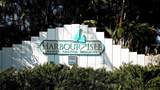 332 Harbour Sound Court - Photo 64
