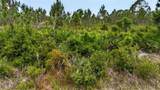 14065 Newson Lane - Photo 3
