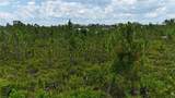 14065 Newson Lane - Photo 5