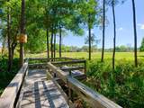 4427 Longmeadow - Photo 30