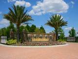 8541 Pavia Way - Photo 51