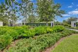 12428 Terracotta Drive - Photo 52