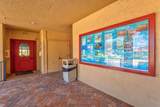 9411 Catalina Drive - Photo 59