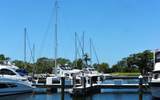 2800 Harbourside Drive - Photo 11