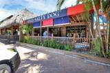 4660 Ocean Boulevard - Photo 46