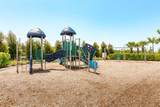 2803 Butterfly Jasmine Trail - Photo 45