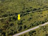 13211 Chiminiello Drive - Photo 1