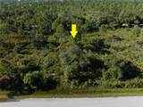 13211 Chiminiello Drive - Photo 14