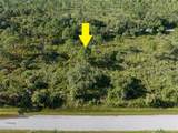 13211 Chiminiello Drive - Photo 8