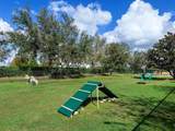8469 Pavia Way - Photo 90