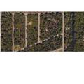 77 Gimli Street - Photo 7