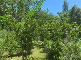 456 Washington Avenue - Photo 5