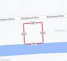 24209 Blackbeard Boulevard - Photo 14
