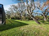 7466 Roebelenii Court - Photo 44