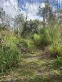 12355 Doris Road - Photo 17