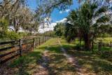 12355 Doris Road - Photo 2