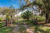 12355 Doris Road - Photo 3